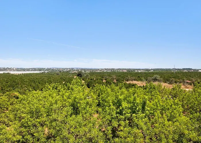 Quinta Alegre Tavira T1 Tatil Evi *