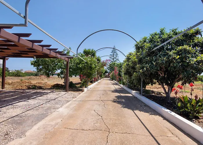 Tatil Evi Quinta Alegre Tavira T1 Luz de Tavira