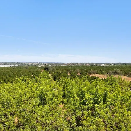 Quinta Alegre Tavira T1 度假居 *